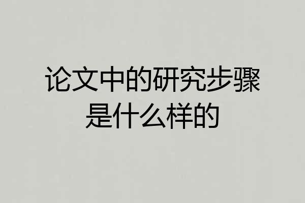 论文中的研究步骤是什么样的