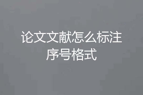 论文文献怎么标注序号格式