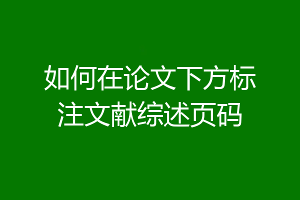 如何在论文下方标注文献综述页码
