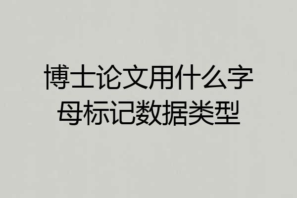 博士论文用什么字母标记数据类型