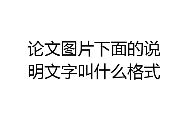 论文图片下面的说明文字叫什么格式