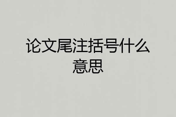 论文尾注括号什么意思