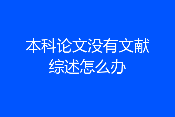 本科论文没有文献综述怎么办