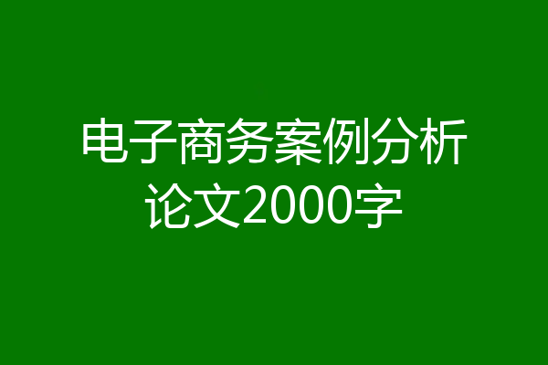 电子商务案例分析论文2000字