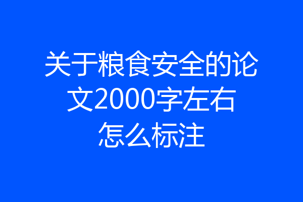 关于粮食安全的论文2000字左右怎么标注