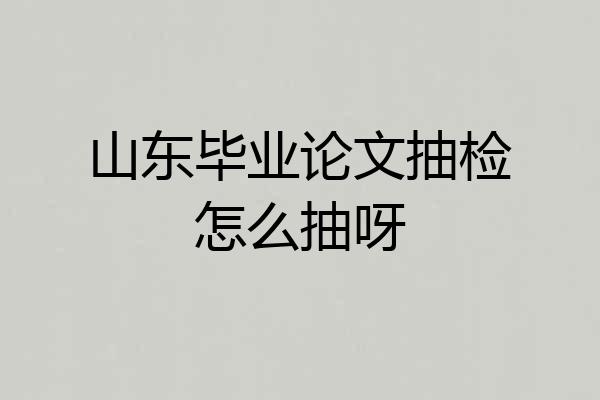 山东毕业论文抽检怎么抽呀