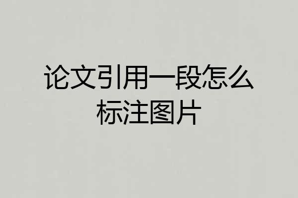 论文引用一段怎么标注图片