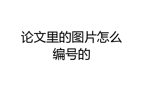 论文里的图片怎么编号的