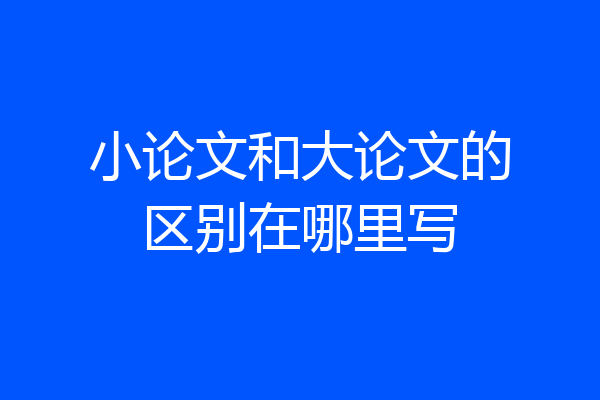 小论文和大论文的区别在哪里写