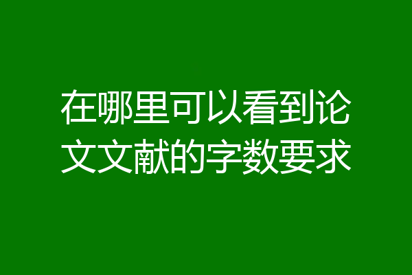 在哪里可以看到论文文献的字数要求