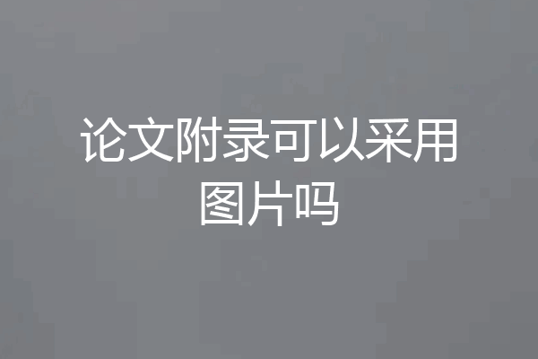 论文附录可以采用图片吗