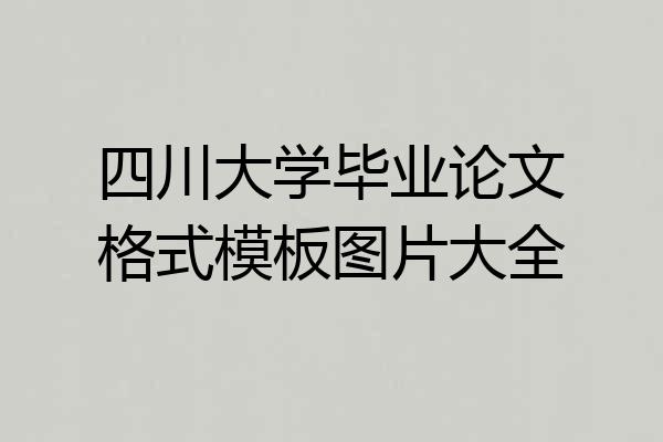 四川大学毕业论文格式模板图片大全