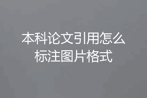 本科论文引用怎么标注图片格式