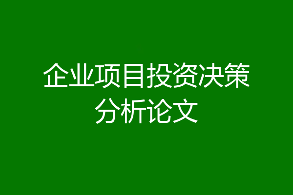 企业项目投资决策分析论文