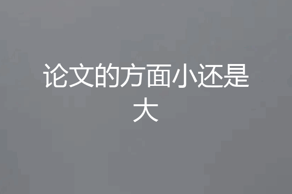 论文的方面小还是大