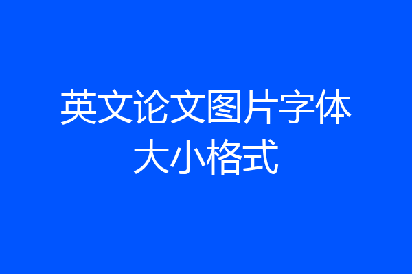 英文论文图片字体大小格式
