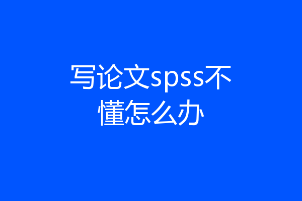 写论文spss不懂怎么办
