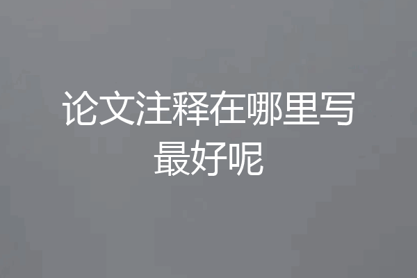 论文注释在哪里写最好呢