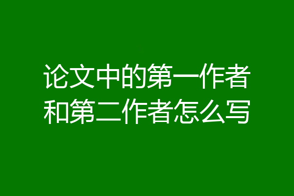 论文中的第一作者和第二作者怎么写