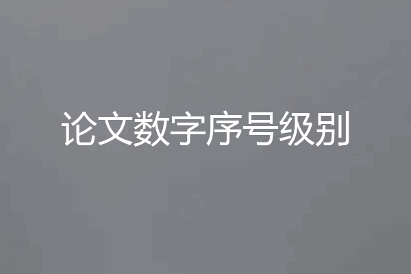 论文数字序号级别