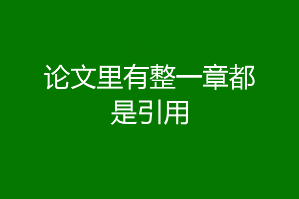 论文里有整一章都是引用