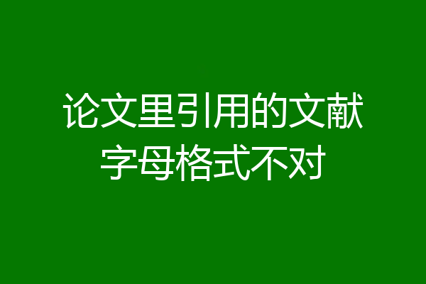 论文里引用的文献字母格式不对