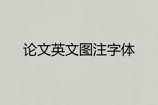 论文英文图注字体