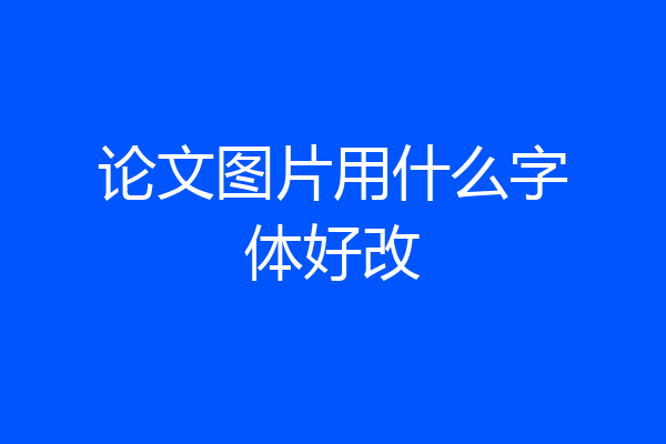 论文图片用什么字体好改