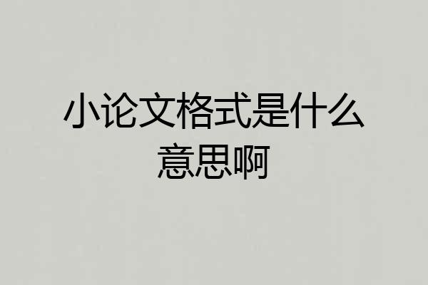 小论文格式是什么意思啊