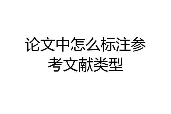 论文中怎么标注参考文献类型