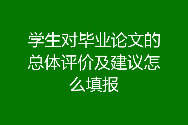 学生对毕业论文的总体评价及建议怎么填报