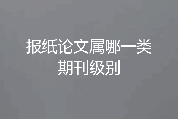 报纸论文属哪一类期刊级别