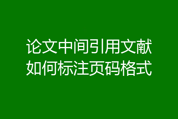 论文中间引用文献如何标注页码格式