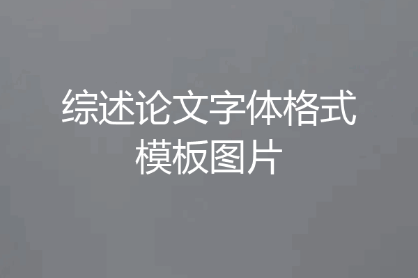 综述论文字体格式模板图片