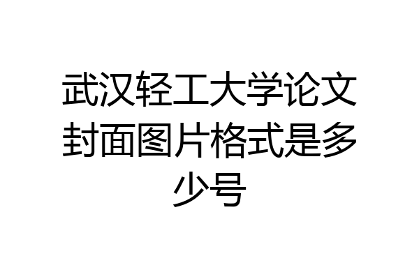 武汉轻工大学论文封面图片格式是多少号