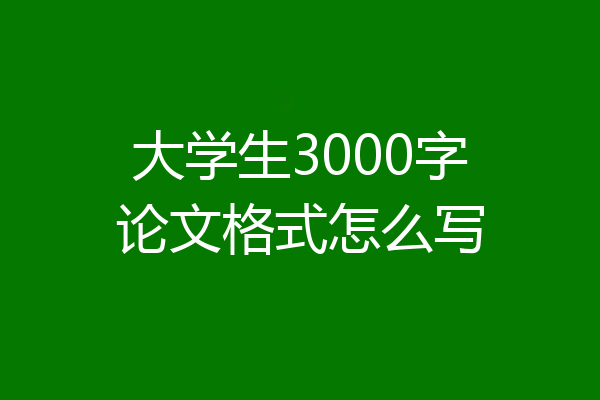 大学生3000字论文格式怎么写