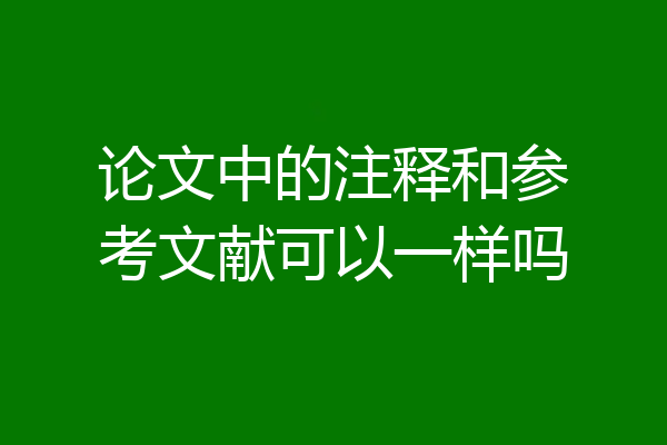 论文中的注释和参考文献可以一样吗