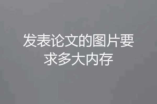 发表论文的图片要求多大内存