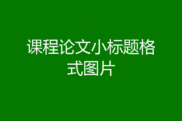 课程论文小标题格式图片