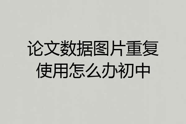论文数据图片重复使用怎么办初中