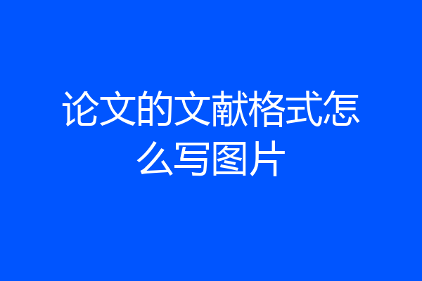 论文的文献格式怎么写图片