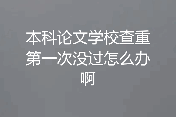 本科论文学校查重第一次没过怎么办啊