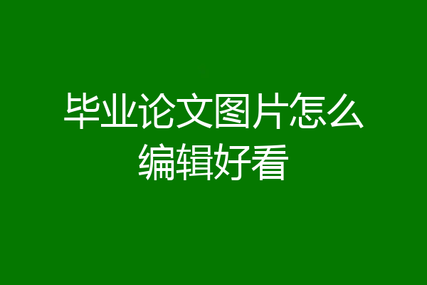 毕业论文图片怎么编辑好看