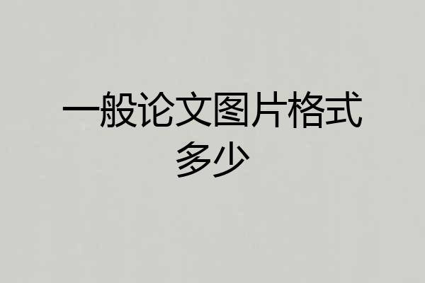 一般论文图片格式多少