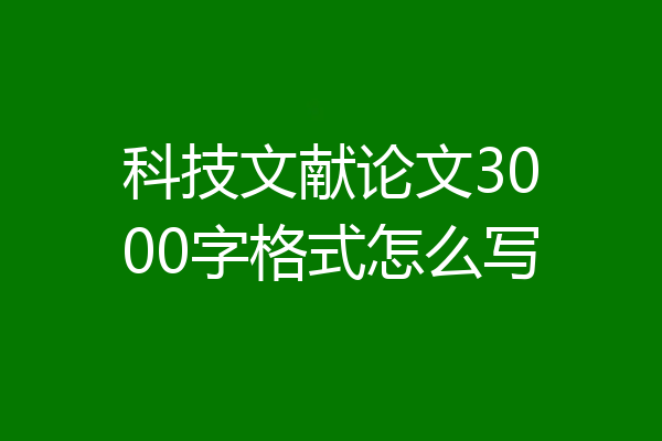 科技文献论文3000字格式怎么写