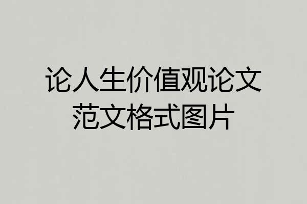 论人生价值观论文范文格式图片