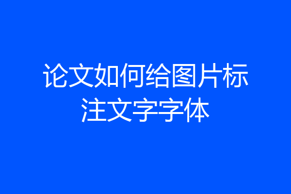 论文如何给图片标注文字字体