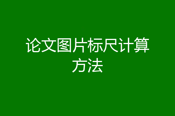 论文图片标尺计算方法
