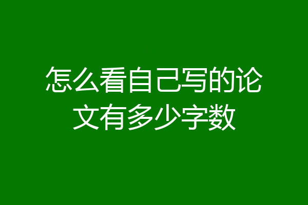 怎么看自己写的论文有多少字数