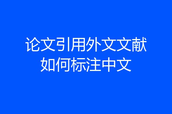 论文引用外文文献如何标注中文